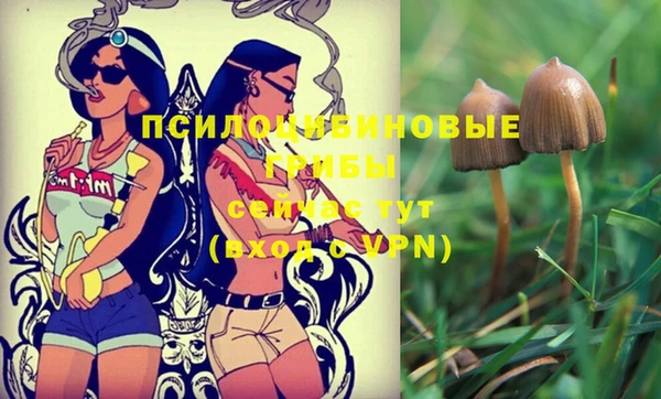 винт Аркадак