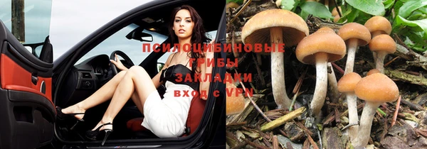 винт Аркадак