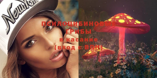 винт Аркадак